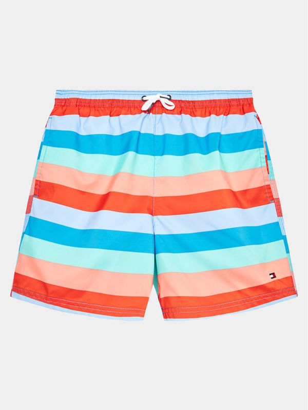 Tommy Hilfiger Tommy Hilfiger Kupaće gaće i hlače UB0UB00484 Šarena Regular Fit