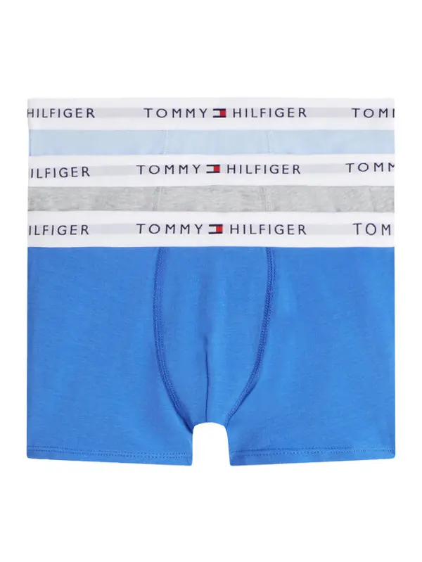 Tommy Hilfiger Tommy Hilfiger Set bokserica﻿ UB0UB00573 Šarena