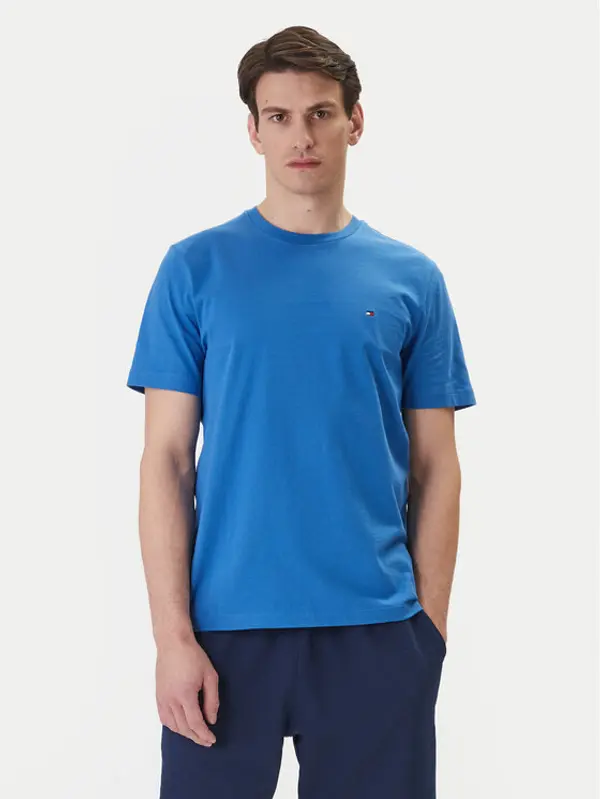 Tommy Hilfiger Tommy Hilfiger T-shirt Ess Seasonal MW0MW39995 Plava Regular Fit