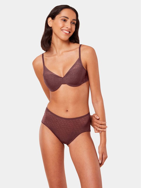 Triumph Triumph Klasične gaćice s visokim strukom Triumph Signature Sheer Maxi EX 10215936 Smeđa