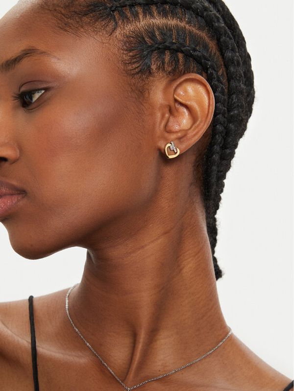 Trussardi Trussardi Naušnice TJAXC49 Zlatna