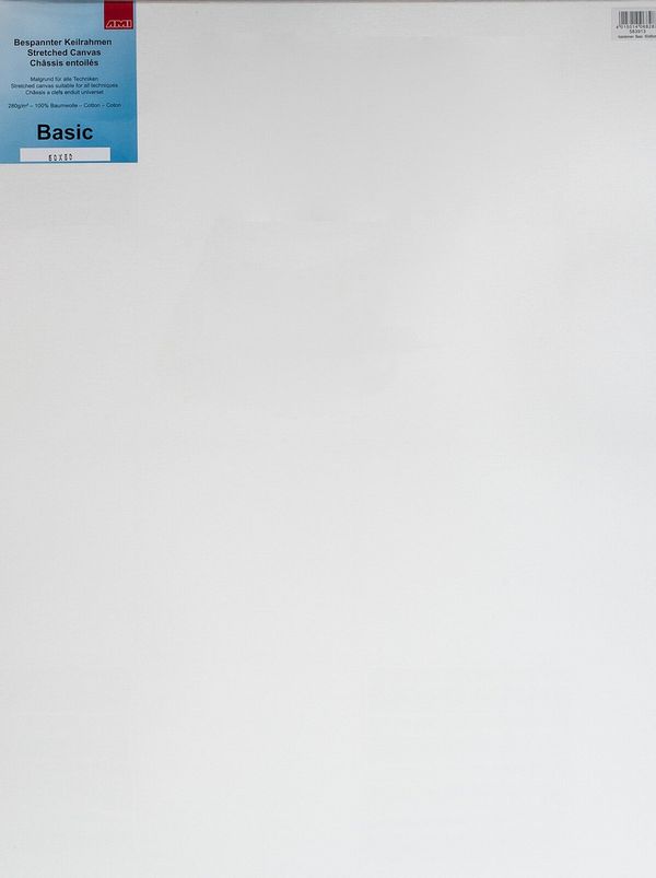 AMI AMI Slikarsko platno White 60 x 80 cm 1 kom
