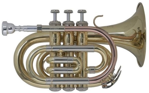 Bach Bach PT650 Bb Bb truba