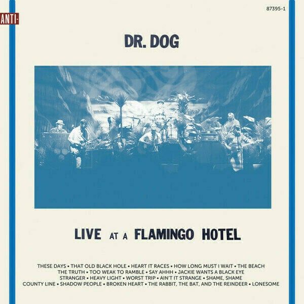 Dr. Dog Dr. Dog - Live At A Flamingo Hotel (2 LP)