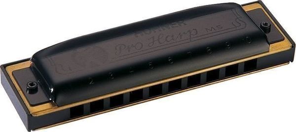 Hohner Hohner Pro Harp MS D