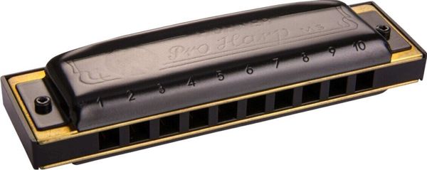 Hohner Hohner Pro Harp MS G