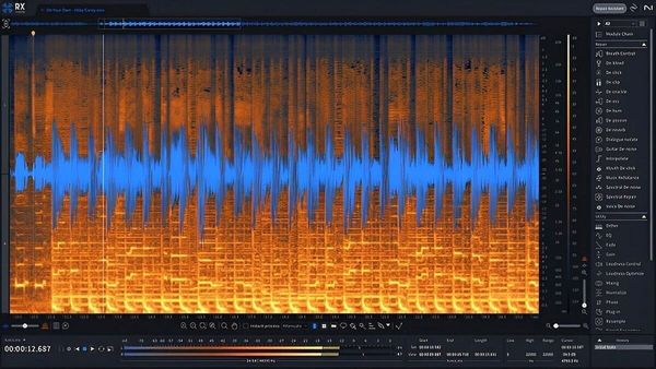 iZotope iZotope RX 11 Standard (Digitalni proizvod)