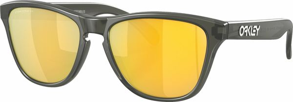 Oakley Oakley Frogskins XS 90063753 Matte Grey Smoke/Prizm 24K Polar XS Lifestyle naočale