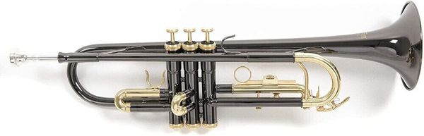 Roy Benson Roy Benson TR-101K Bb truba