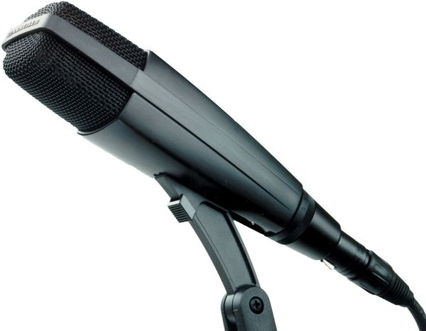 Sennheiser Sennheiser MD 421-II Dinamički mikrofon za instrumente