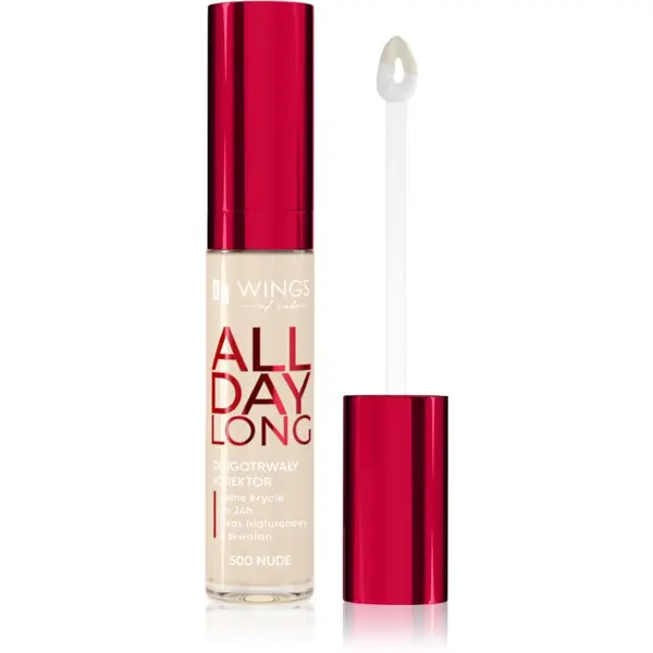 AA Wings of Color AA Wings of Color All Day Long Long Lasting Concealer tekući korektor nijansa 500 Ivory 6.2 g