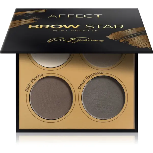 Affect Affect Brow Star paleta puderastih nijansi za obrve 4x2 g