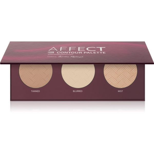 Affect Affect Contour Palette paleta za konturiranje za lice 3x6 g