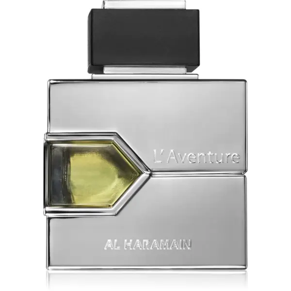 Al Haramain Al Haramain L'Aventure parfemska voda za muškarce 100 ml