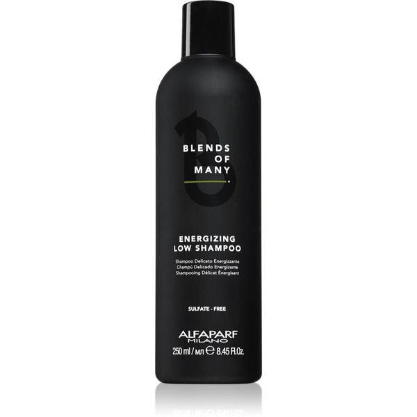 Alfaparf Milano Alfaparf Milano Blends of Many Energizing energetski šampon za nježnu i tanku kosu 250 ml