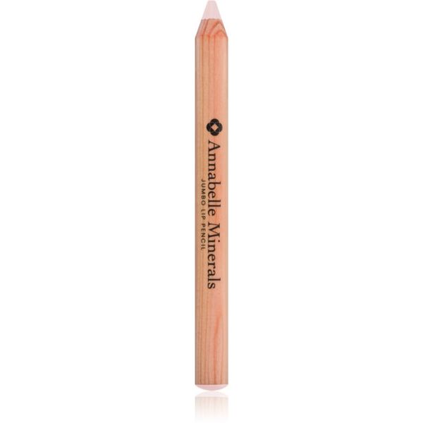 Annabelle Minerals Annabelle Minerals Jumbo Eye Pencil sjenilo za oči u olovci nijansa Mist 3 g