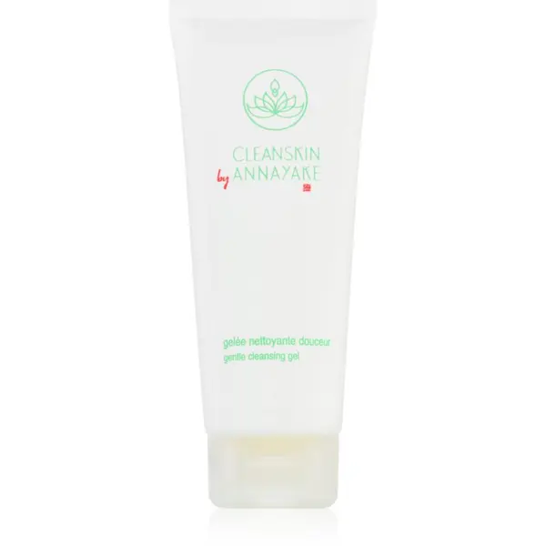 Annayake Annayake CleanSkin Gentle Cleansing Gel gel za pranje lica za savršeno čišćenje lica 100 ml