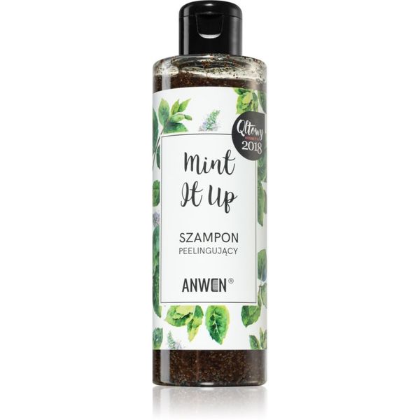 Anwen Anwen Mint It Up eksfolijacijski šampon 200 ml