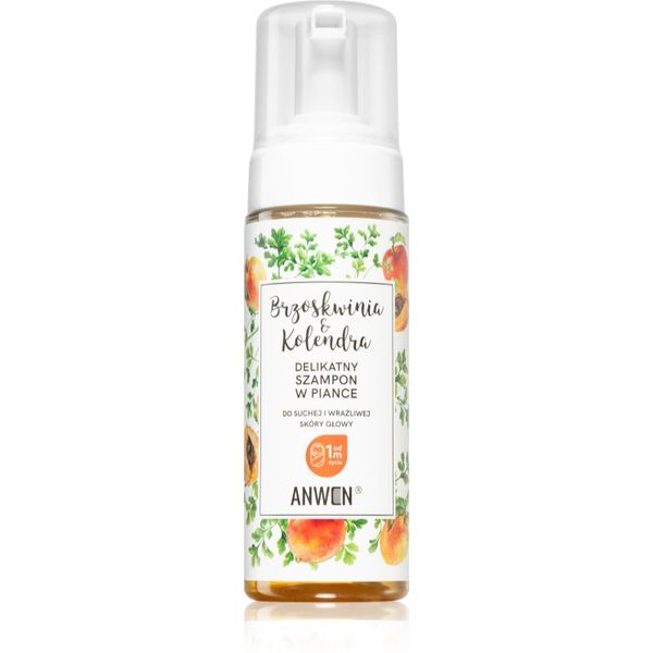 Anwen Anwen Peach & Coriander pjena za čišćenje za suho i osjetljivo vlasište 170 ml