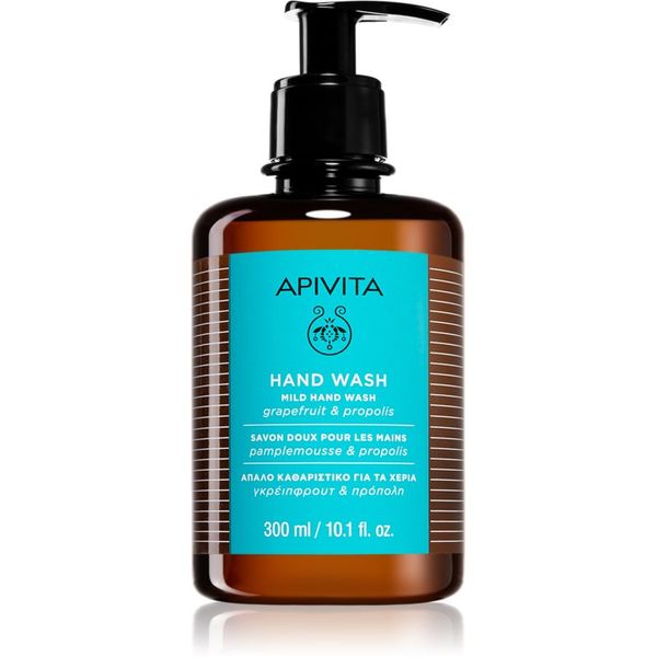 Apivita Apivita Hand Care Mild Hand Wash blagi tekući sapun za ruke 300 ml