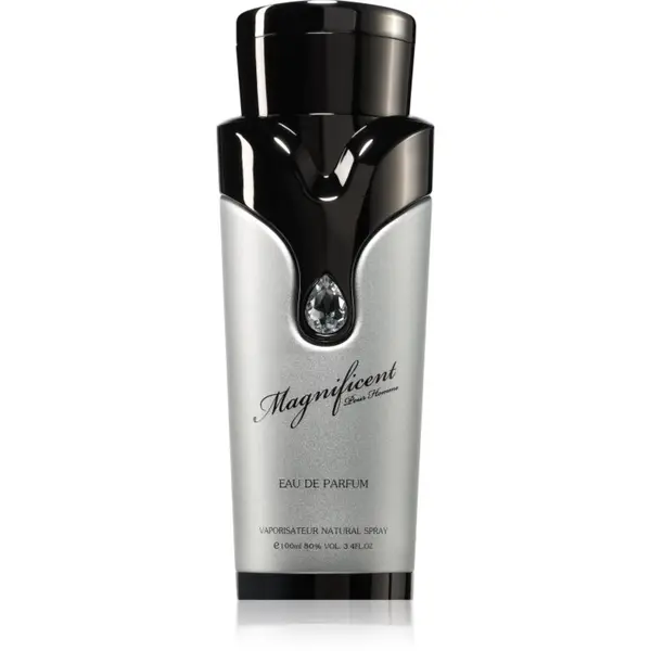 Armaf Armaf Magnificent Pour Homme parfemska voda za muškarce 100 ml