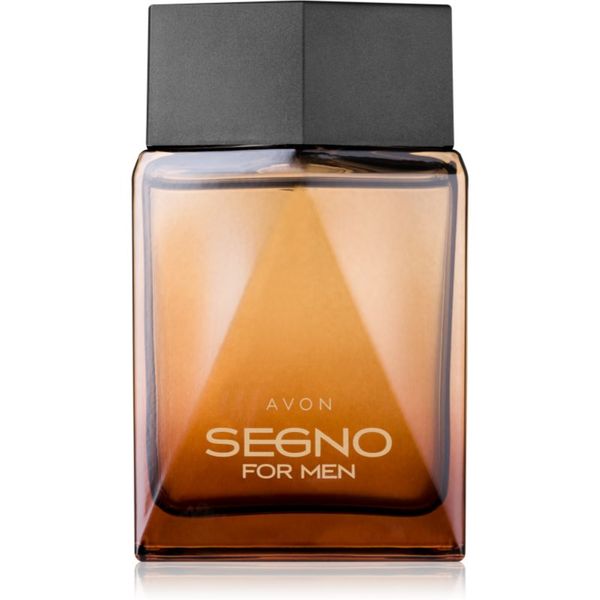 Avon Avon Segno parfemska voda za muškarce 75 ml