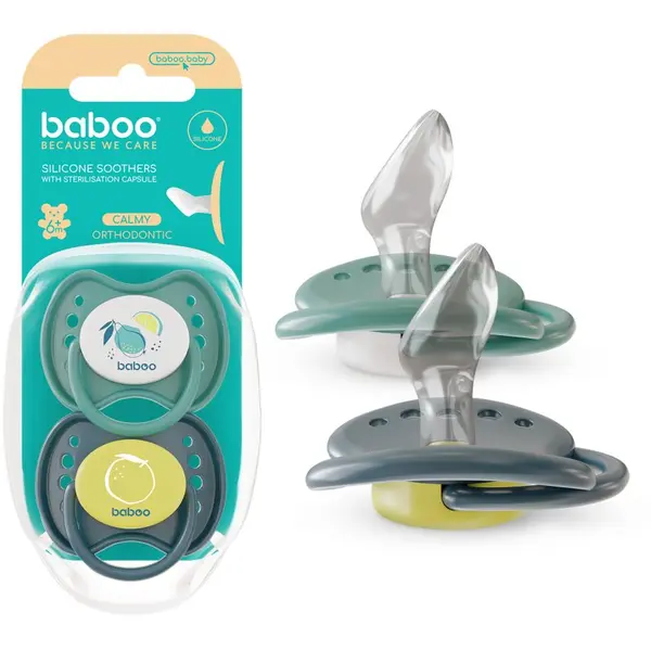 Baboo Baboo Soothers Silicone Orthodontic with Case duda Lagoon Fiesta 6-12 m 2 kom