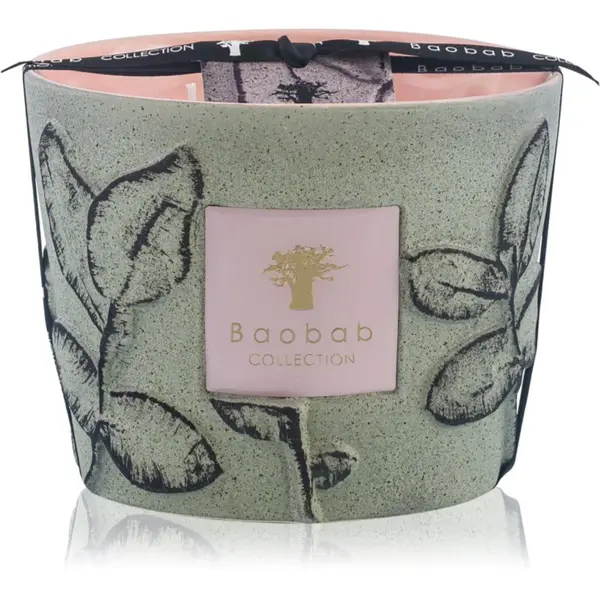 Baobab Collection Baobab Collection Folia Maquis mirisna svijeća 500 g