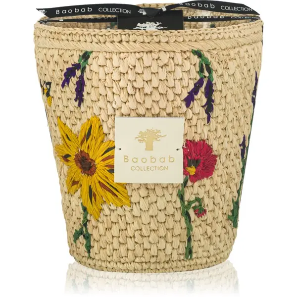Baobab Collection Baobab Collection Vony Ahitra mirisna svijeća 1000 g