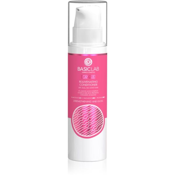 BasicLab BasicLab Dermocosmetics Capillus regenerator za jaku, grubu i suhu kosu 250 ml