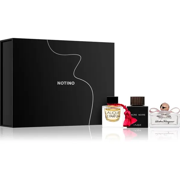 Beauty Beauty Discovery Box Exclusive Notino Essence Noire poklon set uniseks