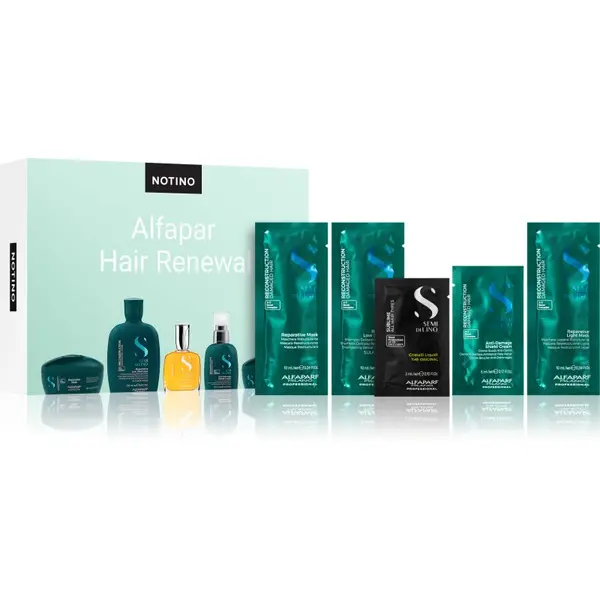Beauty Beauty Discovery Box Notino XL - Alfaparf Hair Renewal set za žene