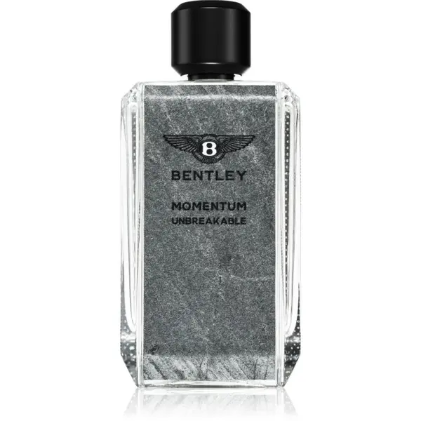 Bentley Bentley Momentum Unbreakable parfemska voda za muškarce 100 ml