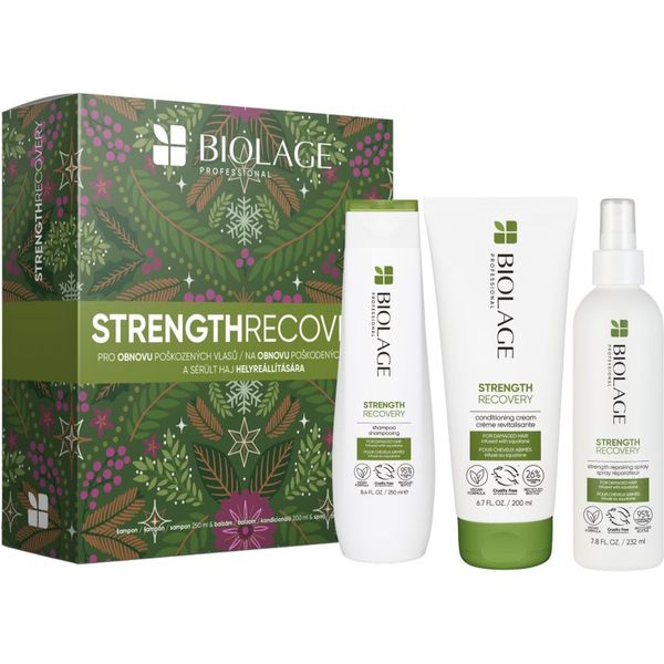 Biolage Biolage Strength Recovery poklon set (za oštećenu kosu)