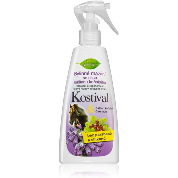 Bione Cosmetics Bione Cosmetics Cannabis Kostival konopljina mast za mišiće i zglobove 260 ml