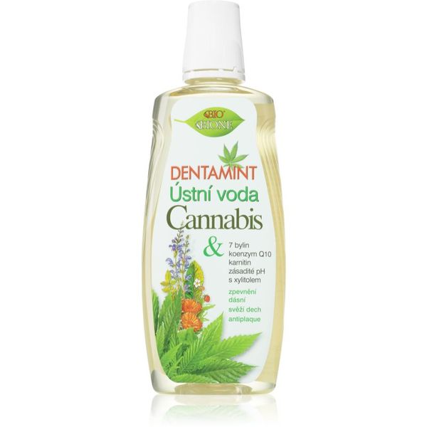 Bione Cosmetics Bione Cosmetics Dentamint Cannabis vodica za usta 500 ml