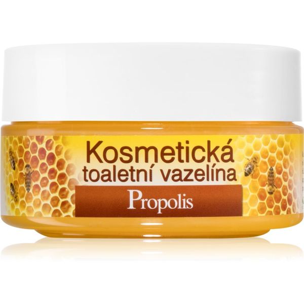 Bione Cosmetics Bione Cosmetics Honey + Q10 kozmetički vazelin 155 ml