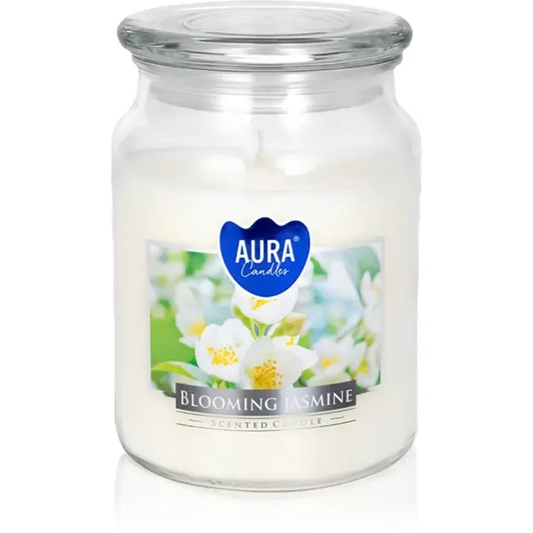 BISPOL BISPOL Premium Line Jasmine mirisna svijeća 500 g