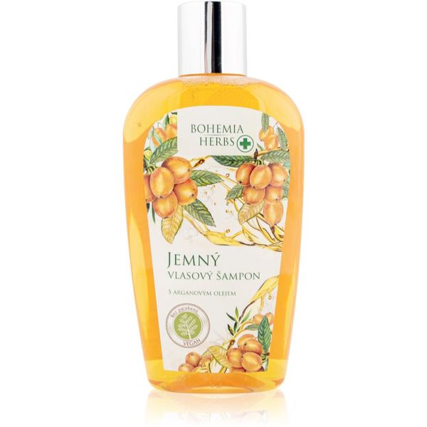 Bohemia Gifts & Cosmetics Bohemia Gifts & Cosmetics Bohemia Herbs Argan Oil šampon za kosu 250 ml