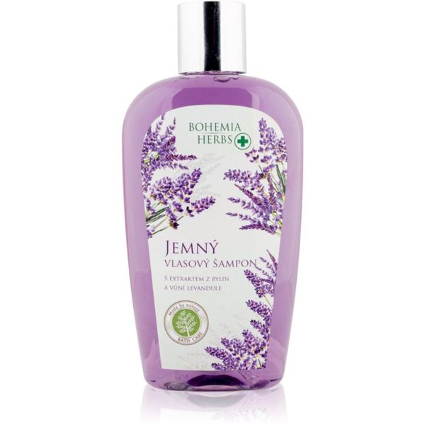 Bohemia Gifts & Cosmetics Bohemia Gifts & Cosmetics Bohemia Herbs Lavender šampon za kosu 250 ml