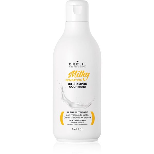 Brelil Professional Brelil Professional Milky Sensation BB Shampoo regenerirajući šampon za slabu i oštećenu kosu 250 ml