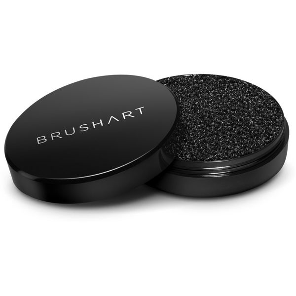 BrushArt BrushArt Professional Brush cleaning sponge Suha spužva za čišćenje četkica 1 kom