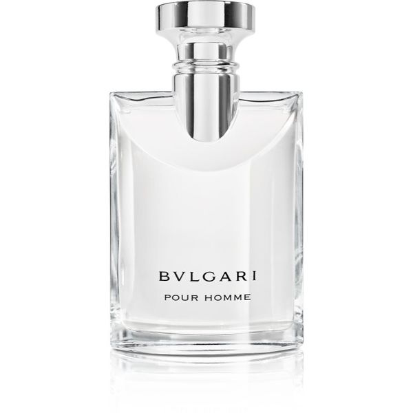 BVLGARI BULGARI Pour Homme toaletna voda za muškarce 100 ml