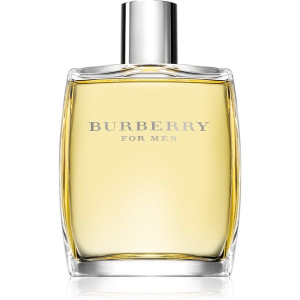 Burberry Burberry Burberry for Men toaletna voda za muškarce 100 ml