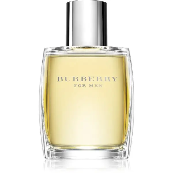 Burberry Burberry Burberry for Men toaletna voda za muškarce 50 ml
