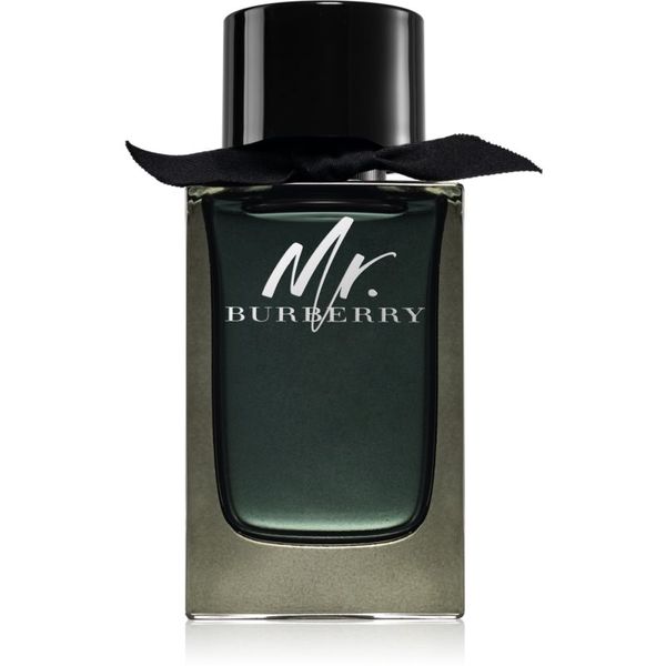 Burberry Burberry Mr. Burberry parfemska voda za muškarce 150 ml