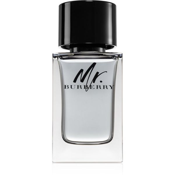 Burberry Burberry Mr. Burberry toaletna voda za muškarce 100 ml