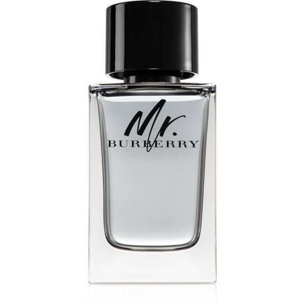 Burberry Burberry Mr. Burberry toaletna voda za muškarce 150 ml