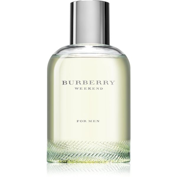 Burberry Burberry Weekend for Men toaletna voda za muškarce 100 ml
