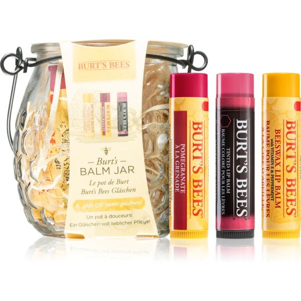 Burt’s Bees Burt’s Bees Balm Jar poklon set (za usne)